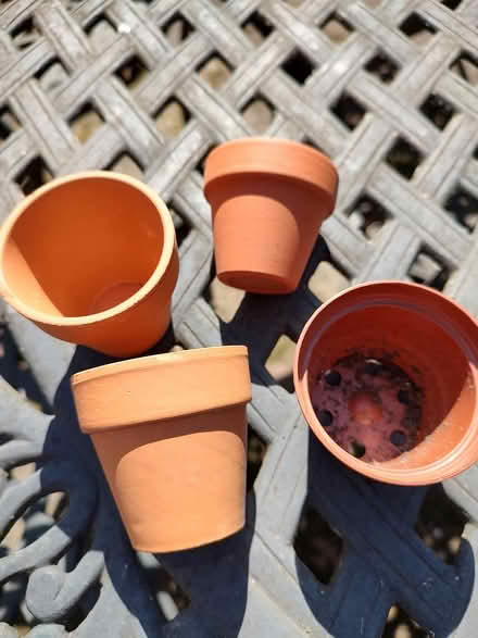 Photo of free Tiny pots (Odenton) #1