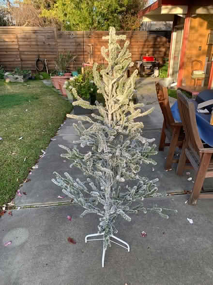 Photo of free 4 foot Christmas tree and lights (Willow Glen) #1