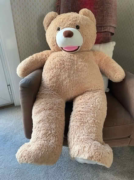 Photo of free Huge teddy bear (BT9) #1