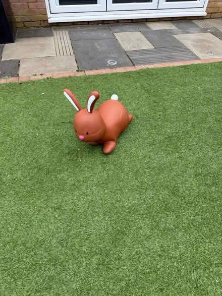 Photo of free Bouncy Rabbit (Mawsley NN14) #1