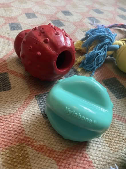 Photo of free Range of used puppy/dog toys (EH10, Morningside) #2