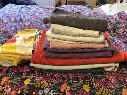 Photo of free Selection of towels (Shephall SG2) #1