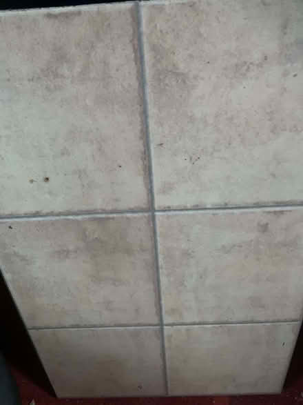 Photo of free Floor tiles (Minchinhampton GL6) #1