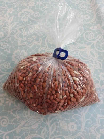 Photo of free Peanuts for birds (New Marston OX3) #1