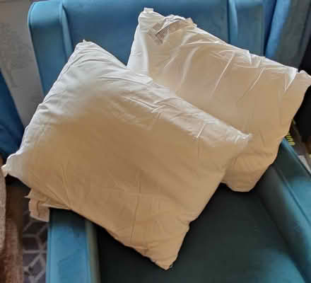 Photo of free Two cushion pads (Castle Ward Lancaster) #1