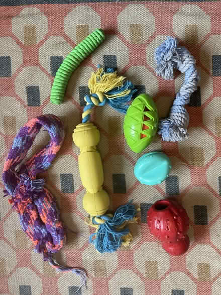 Photo of free Range of used puppy/dog toys (EH10, Morningside) #1