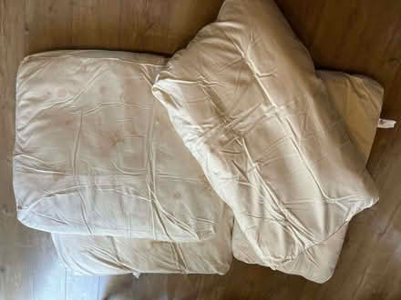 Photo of free Sofa Cushions (Rusthall TN3) #1