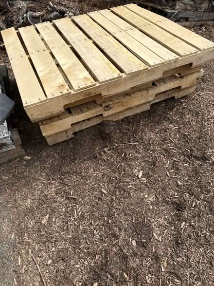 Photo of free 4 Pallets (Glen Gardner) #1