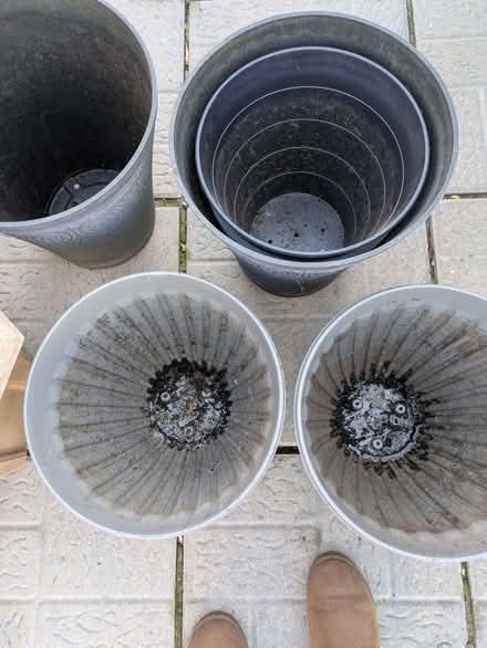 Photo of free Plant pots (Westgate LA4) #2