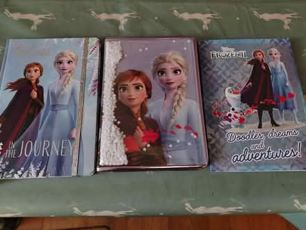 Photo of free Frozen note books (Walsall WS2) #1