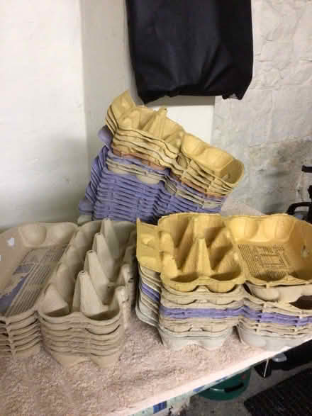 Photo of free Egg cartons (Bingley BD16) #1