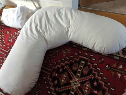 Photo of free V shaped feather filled pillow (Craiglockhart EH14) #1