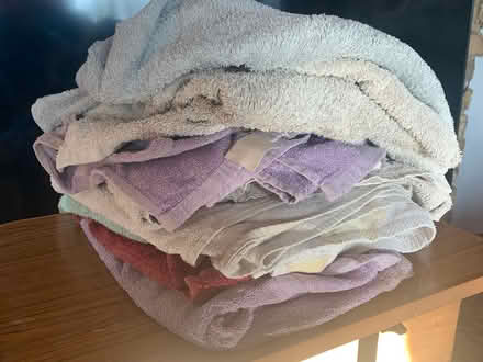 Photo of free Dog towels (Harrietsham ME17) #1