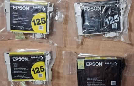 Photo of free Epson Printer Ink Cartridges (Green Run Lynnhaven/Holland) #1