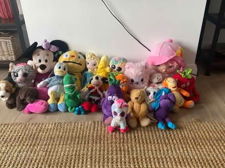 Photo of free Teddies (Drumcondra) #1