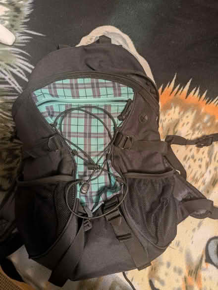 Photo of free Green and black backpack (CO2, Hythe) #1