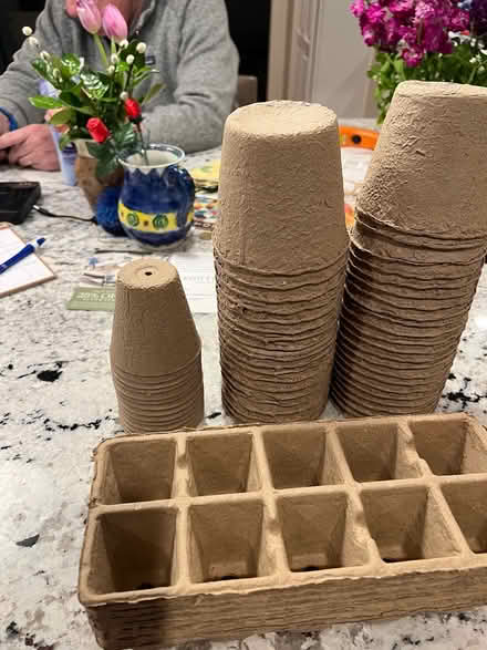 Photo of free Biodegradable planting pots (West Medford) #1