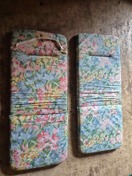 Photo of free Seat cushions (Biddestone SN14) #2