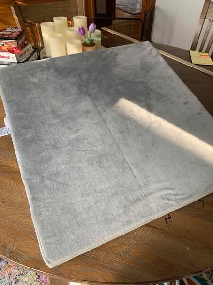 Photo of free Wedge pillow (Ten Hills, Somerville) #2