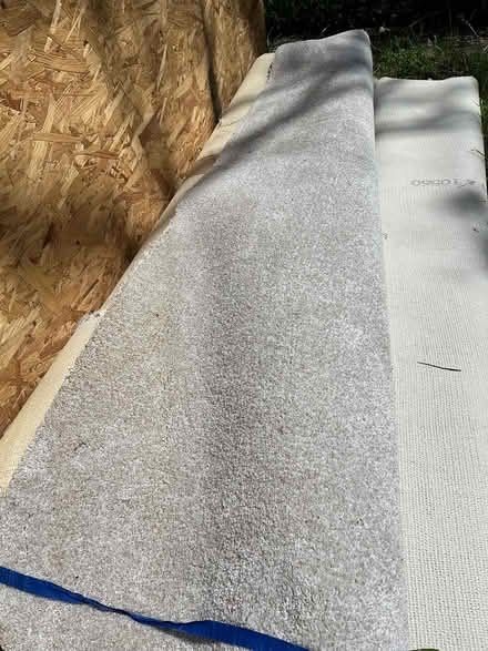 Photo of free New condition carpet (Zilker Neighborhood) #1