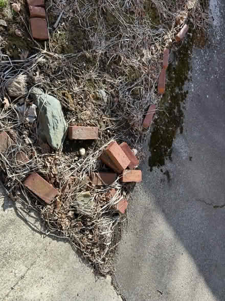 Photo of free Bricks (Huron Ave. Cambridge) #1