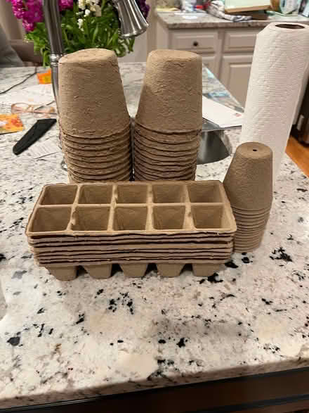 Photo of free Biodegradable planting cups (West Medford) #1