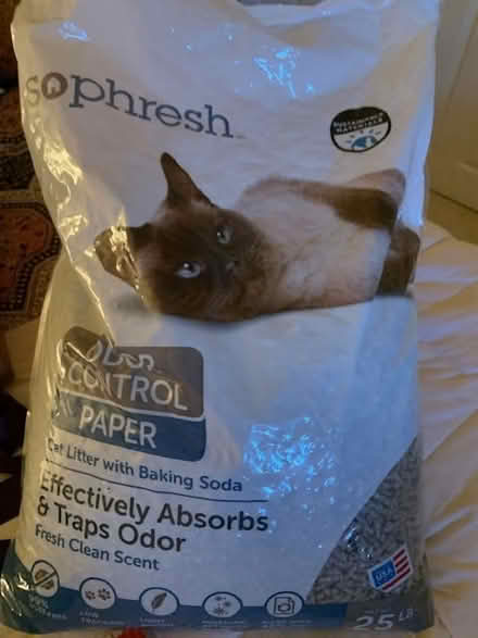 Photo of free Cat Litter (Rossmoor) #1