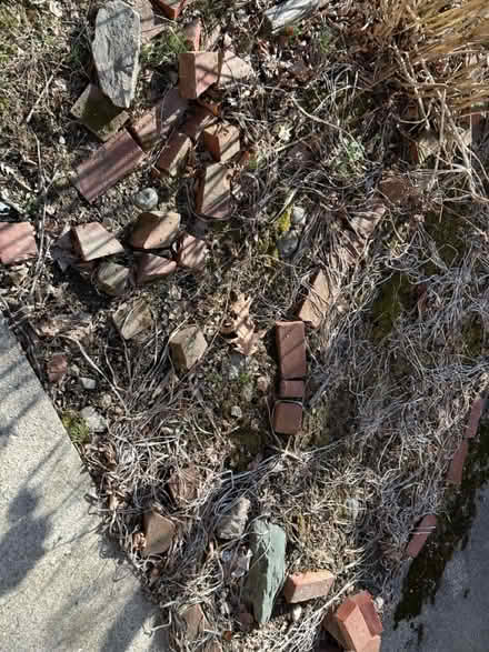 Photo of free Bricks (Huron Ave. Cambridge) #2