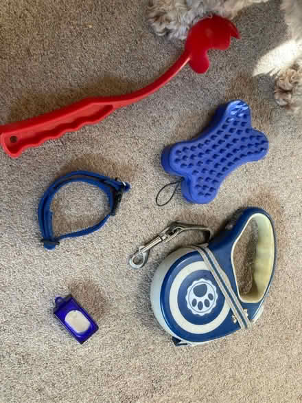 Photo of free Dog Stuff (Dublin) #1