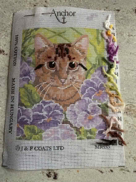Photo of free Tapestry kit (Spring Park CR0) #2