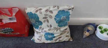 Photo of free Cushion (Saltney CH4) #1