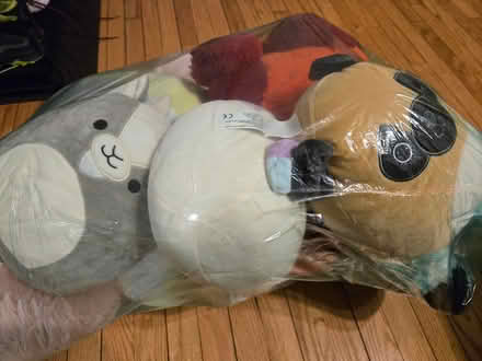 Photo of free Stuffed animals (Downtown Madison) #3