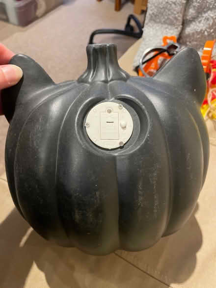 Photo of free Cat pumpkin decoration (Kings Norton B38) #2