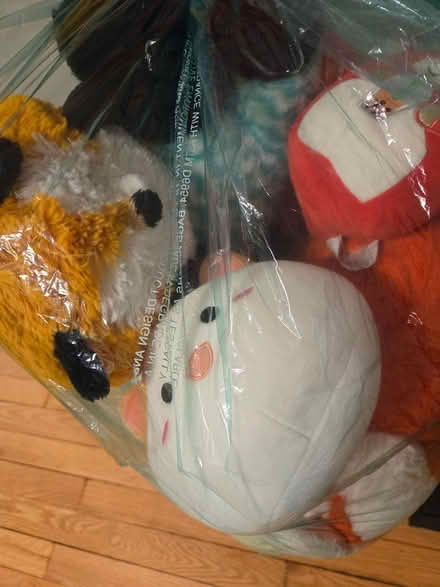 Photo of free Stuffed animals (Downtown Madison) #2