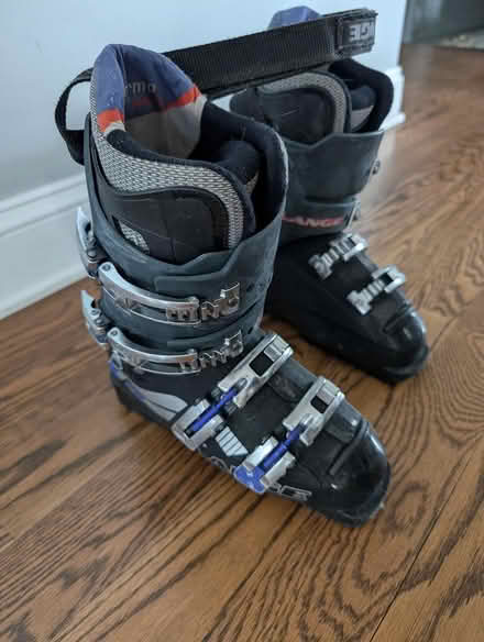 Photo of free Used Lange Ski Boots (Taylor/3rd NW) #1