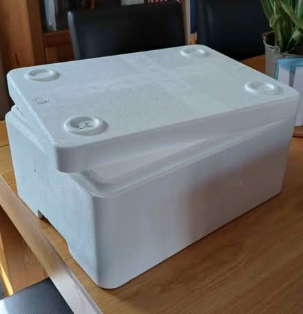 Photo of free Polystyrene Box (Bowerhill SN12) #2