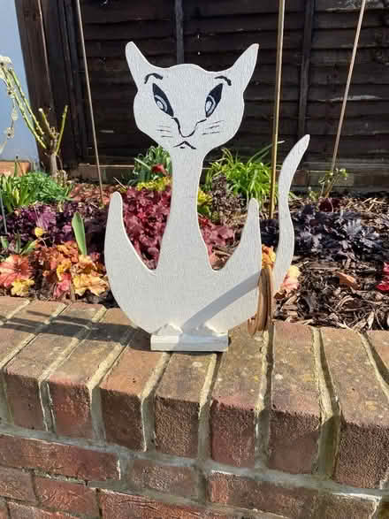 Photo of free Homemade cat hoopla (Spring Park CR0) #1