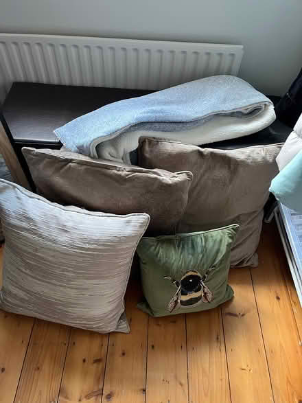 Photo of free Cushions, throw + Lamp (Leixlip- just at Dublin border) #2