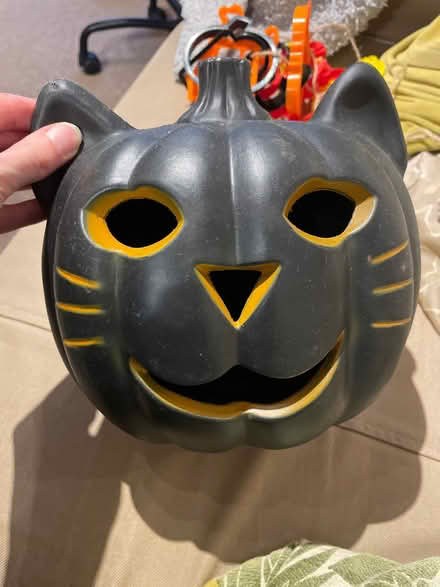 Photo of free Cat pumpkin decoration (Kings Norton B38) #1