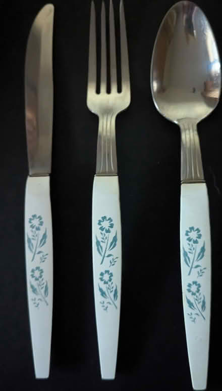 Photo of free flatware (N Leverett) #1