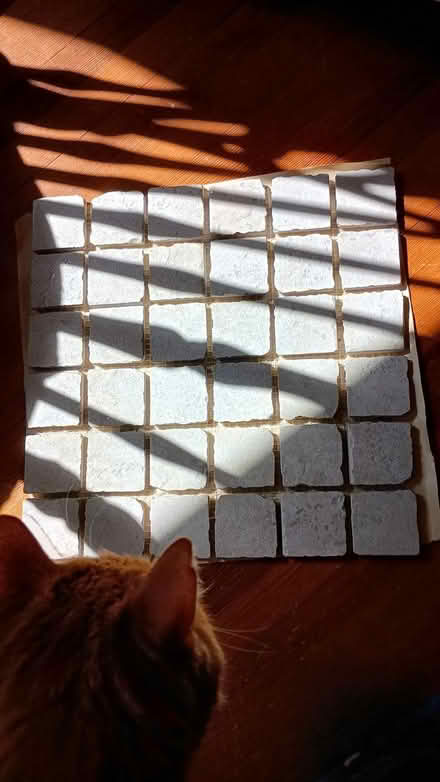 Photo of free 108 white tiles, each 1.75 inch sq (Somerville, off Cedar St) #3