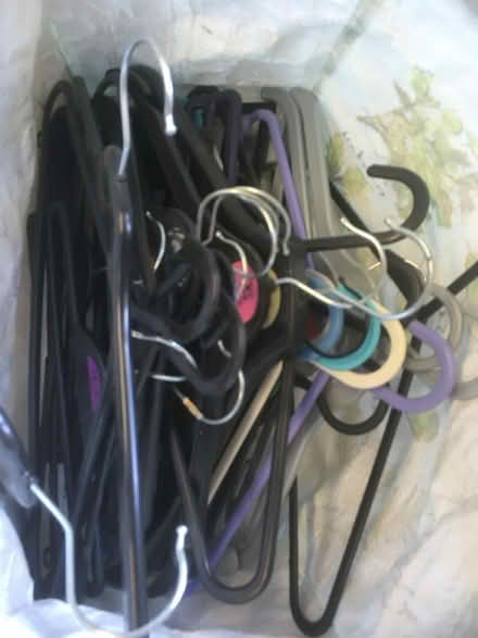 Photo of free Plastic coat hangers (Boxted CO4) #1