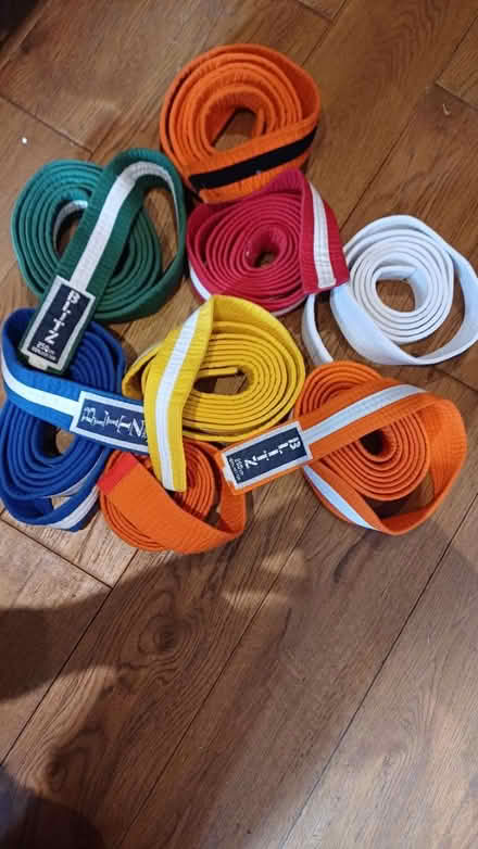 Photo of free Martial arts belts (Brailsford DE6) #1