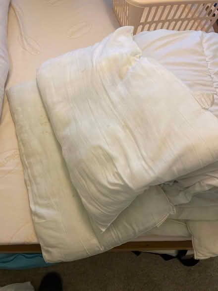 Photo of free Old pillows and duvets (Kings Norton B38) #2