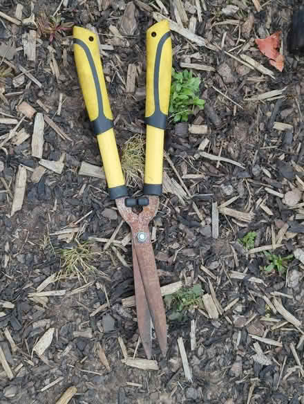 Photo of free Garden shears (Mapperley NG3) #1