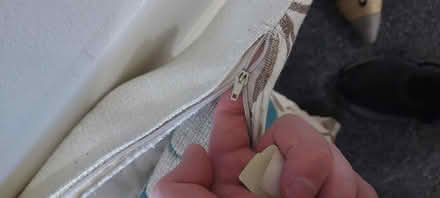 Photo of free Cushion (Saltney CH4) #2