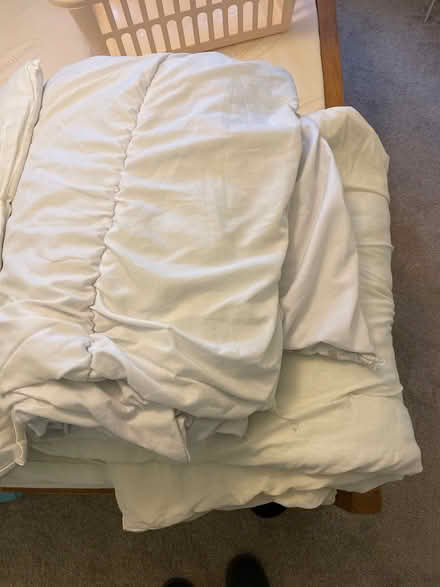 Photo of free Old pillows and duvets (Kings Norton B38) #1