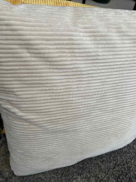 Photo of free Cushions 45cm square (Leckhampton GL53) #2