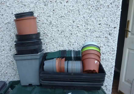 Photo of free plant pots and seed trays (West Bowling BD5) #1