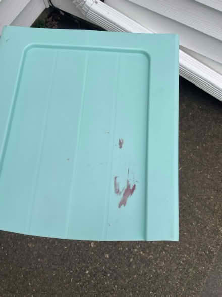 Photo of free Plastic caddy (West Springfield) #2